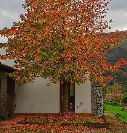 La Calma De Chalet *