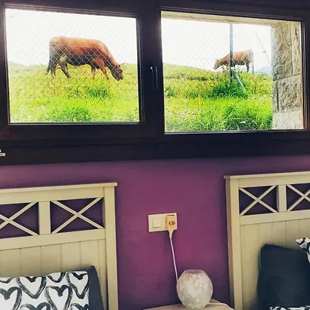 La Calma De Σαλέ *