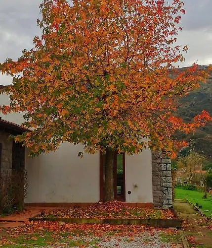 La Calma De Chalet *