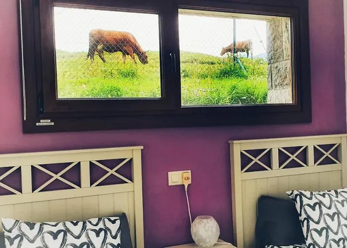 La Calma De Chalet *